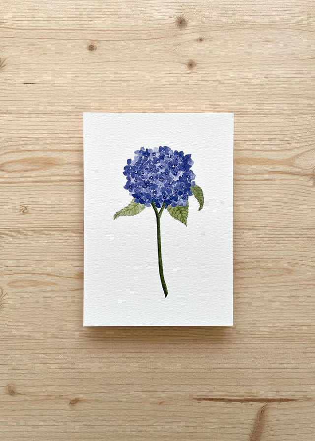 Affiche aquarelle A5 - Hortensia bleu 