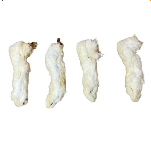 Rabbit Feet with Fur 