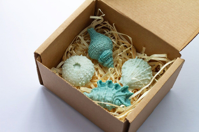 Children's Half Day Summer Seashell Soap Making, Lunch and Boat trip 10am - 3pm 25th August 2023 Age 6-16