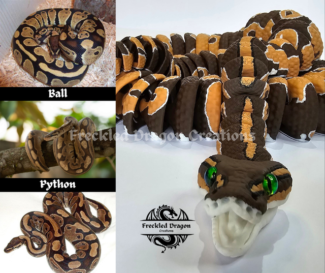 Ball Pythons
