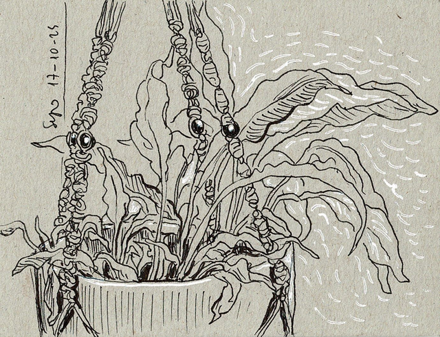 Dibujo Planta de interior