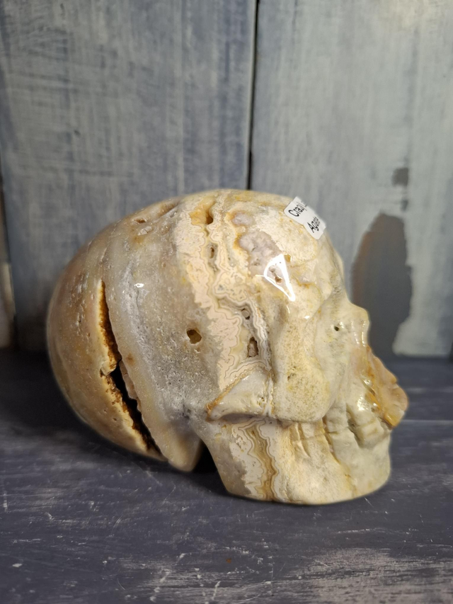 Mexican Agate Skull 