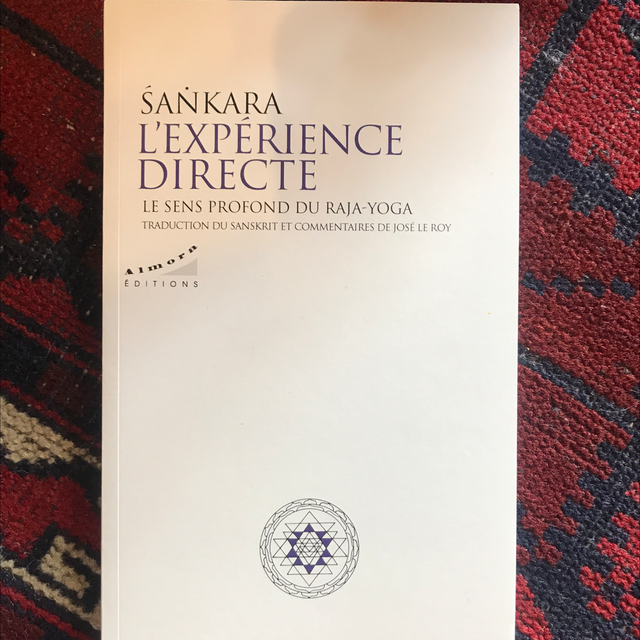 SANKARA - L’Expérience directe, Le sens profond du Raja-Yoga