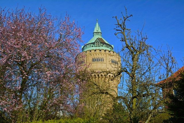 Wasserturm im Frühling