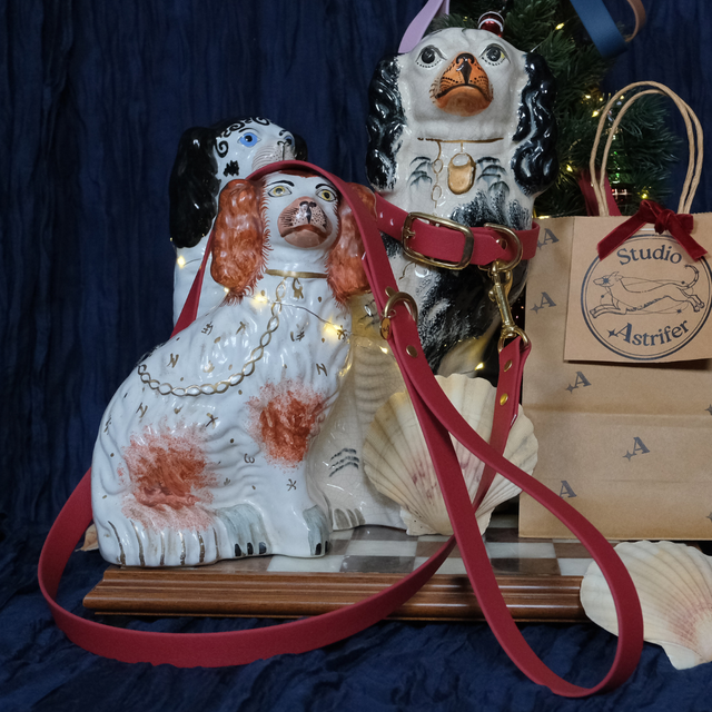 Framboise — Laisse unie imperméable 120cm — URSA MINOR