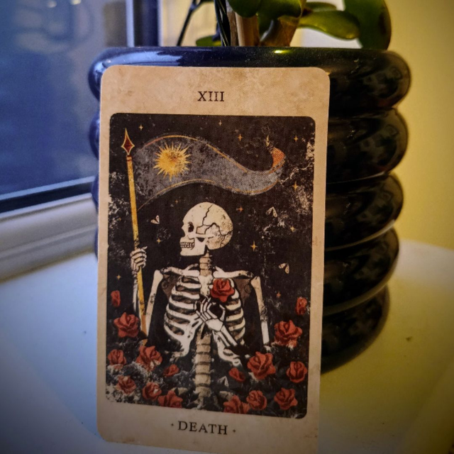 The Solar Kingdom Tarot: a deck from the kingdom of the bright sun * by Tanja Moss & Modern Magic Press