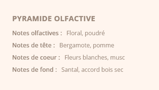 Fondant parfumé Halloween " Eclipse de lune "