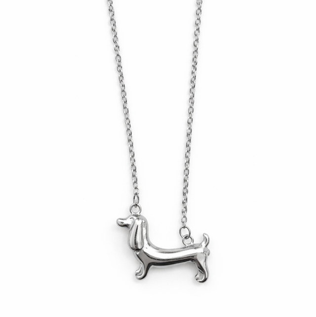 Cadena acero plateado teckel 