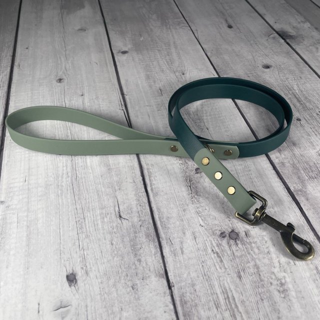 Forest Green & Foggy Green Waterproof BioThane® Lead