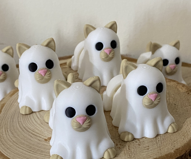 Gatinho fantasma