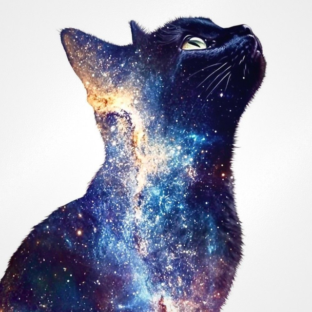 Le chat galactique - papier qualité supérieur A5 carré