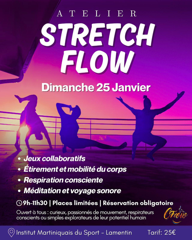 Stretch Flow Workshop 