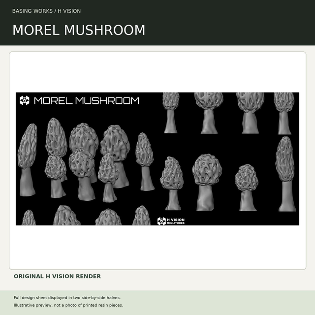 H Vision - Morel Mushroom
