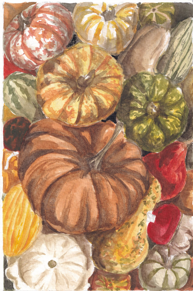 Aquarelle de courges en vrac 