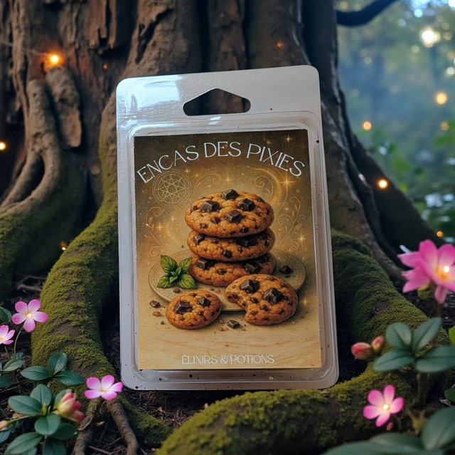 Fondant parfumé "encas des Pixies" (cookies au chocolat)