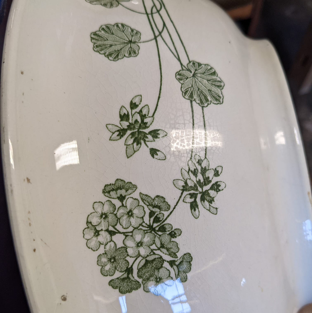 Plat creux Géranium de sarreguemines