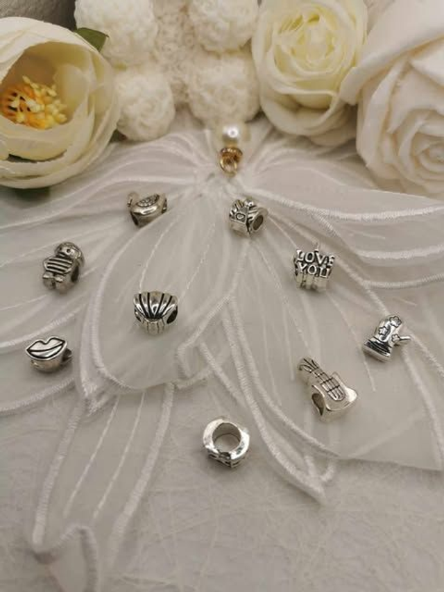 Charmes acier inoxydable Style Pandora