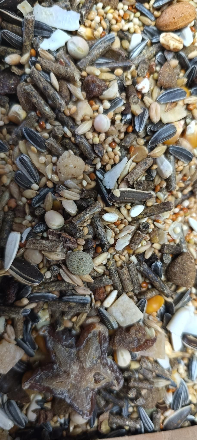 Mangime completo per Topolini (Mus musculus ed altri) 1 kg sfuso