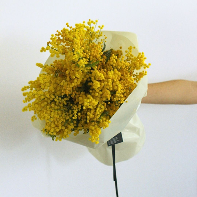 Mazzo di Mimosa