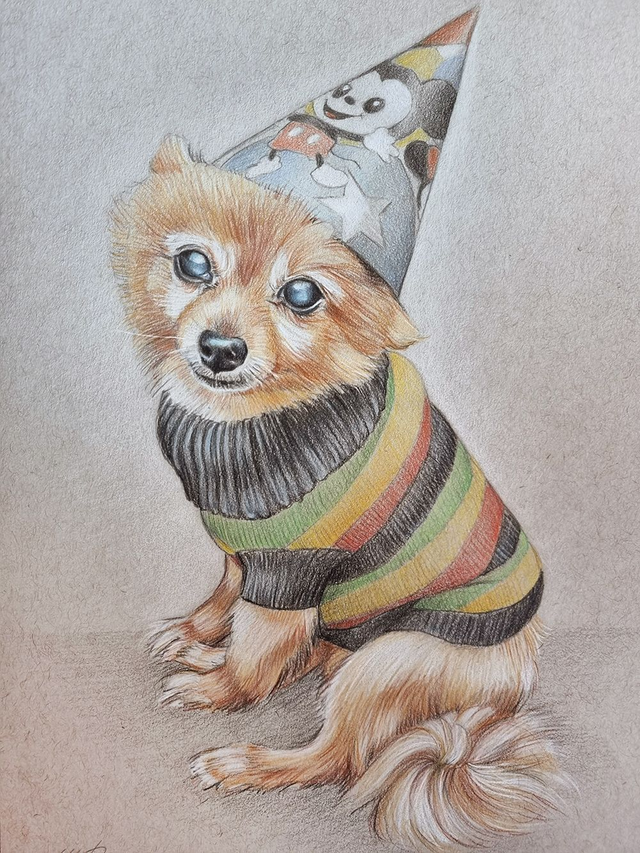 Custom Pet Portrait - Drawing on Paper with some Extras - details of colour, decorative elements, etc. 