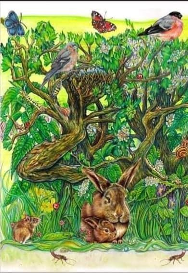 Seasons Tea Towel - 100% organic cotton - Spring (1)