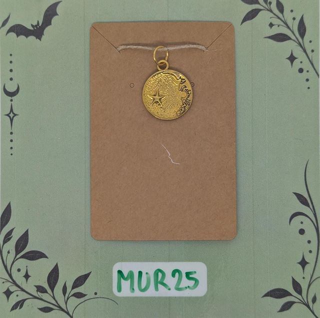 MUR25 Pendentif Médaille Lune et Étoile 