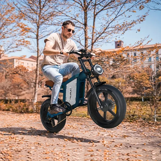 Electric Bike for Adults