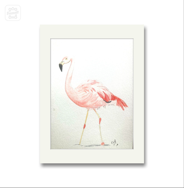 Lámina impresa Flamenco