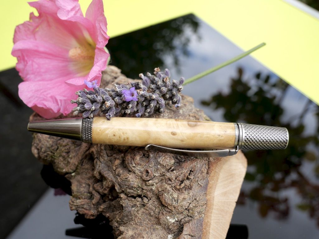 Sirius bille loupe d&#039;érable