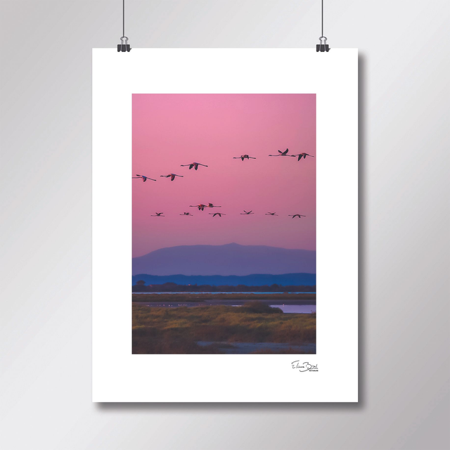 Affiche « Un soir en Camargue »