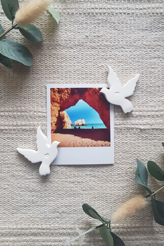 LOT DE 2 MAGNETS - OISEAUX