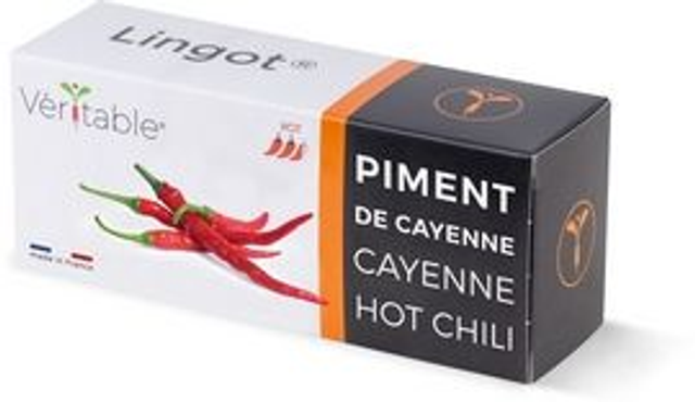 Véritable Lingot Cayenne hot chili