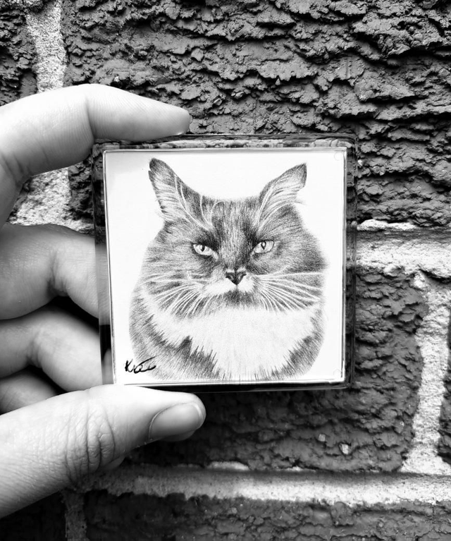 Black and White Cat Magnet