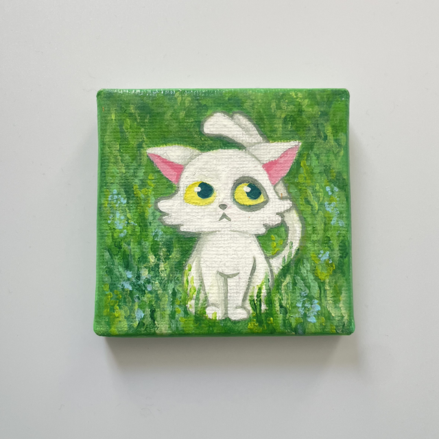 Chat blanc 