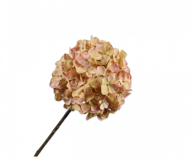 Silk-ka Hortensia Steel Perzik Groen 70cm