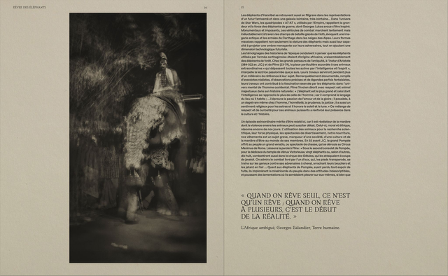 Dans l'ombre des éléphants