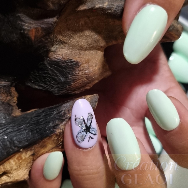 Green butterfly little rond M 