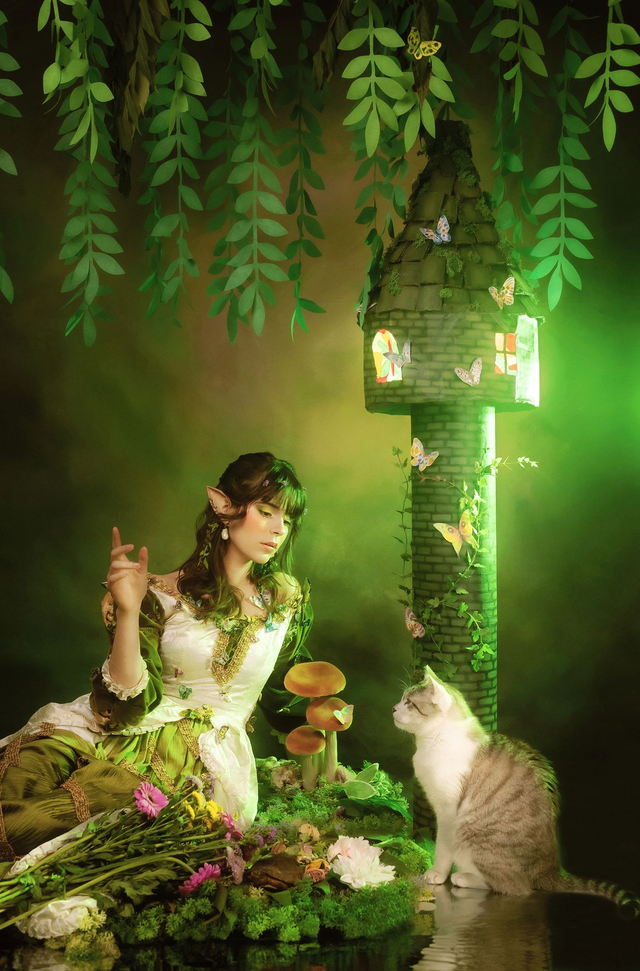 Tirage photo "La Tour aux Papillons"