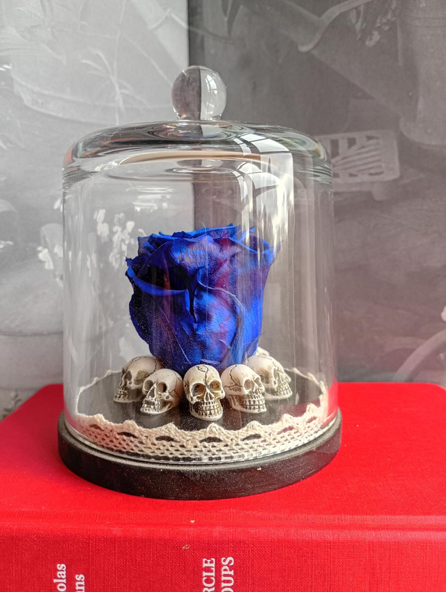 D05 Rose bleu sur crâne