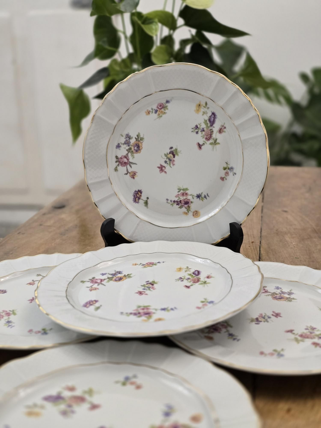 Assiettes plates limoges Bernardo 