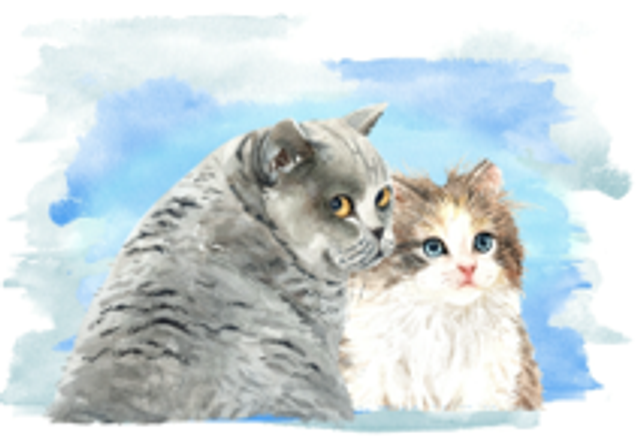 Hand made Cards - Cats