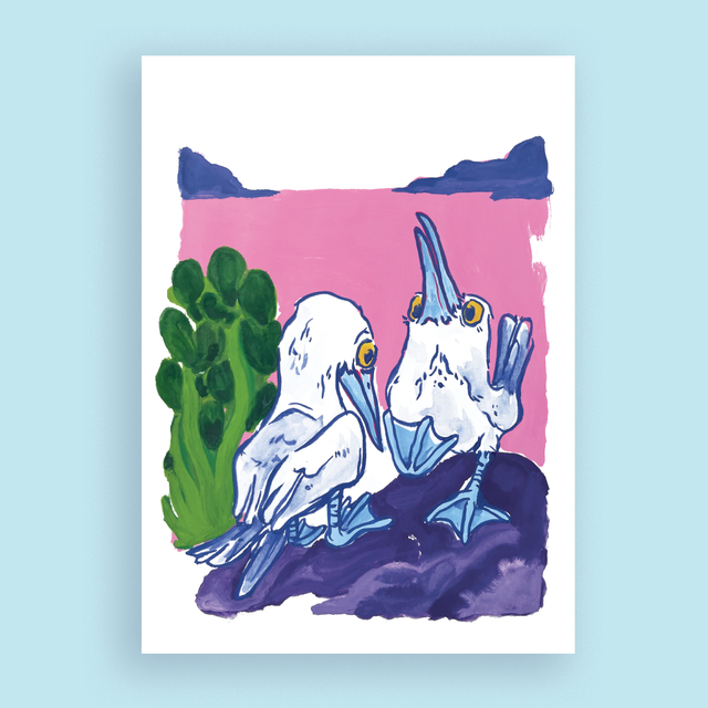 Fous à Pieds Bleus, Print A4