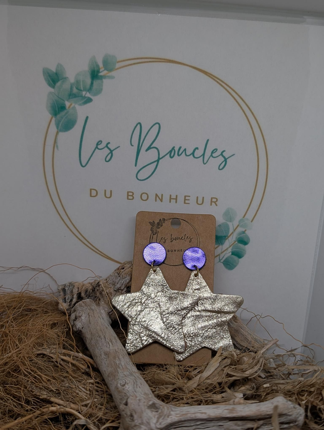Boucles d&#039;oreilles Star luxe s205