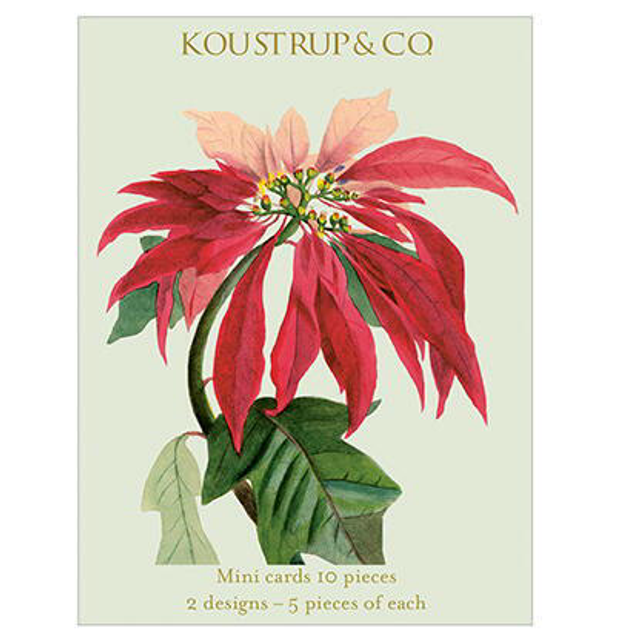 Mini tarjetas Navidad FLOR ROJA