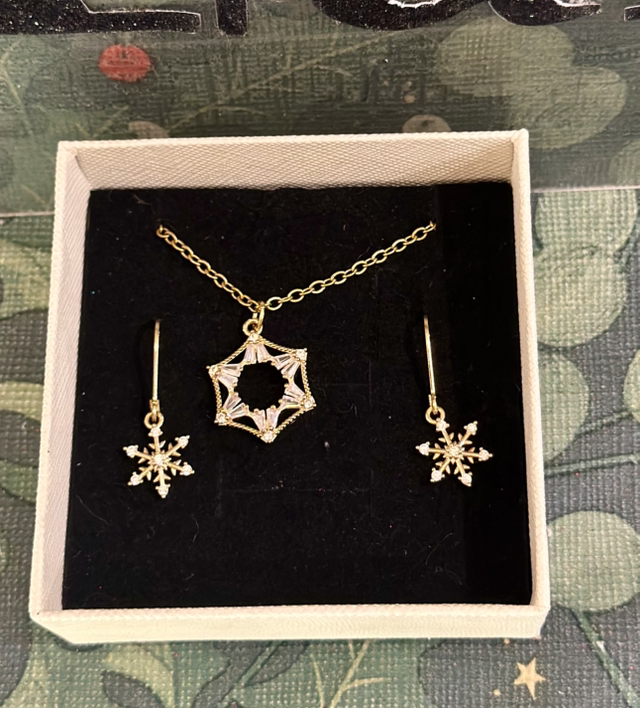 EARRINGS & NECKLACE SET1