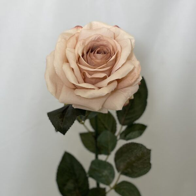 Large Luna Single Open Rose