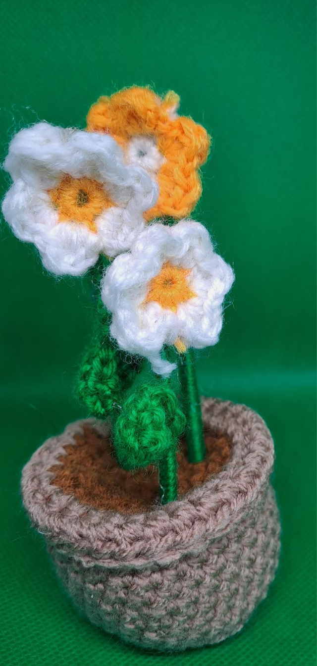 Potted flowers