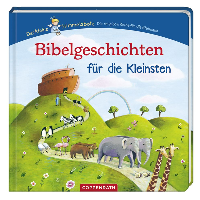 Bibelgeschichten für die Kleinsten von Inga Witthöft Kinderbuch
