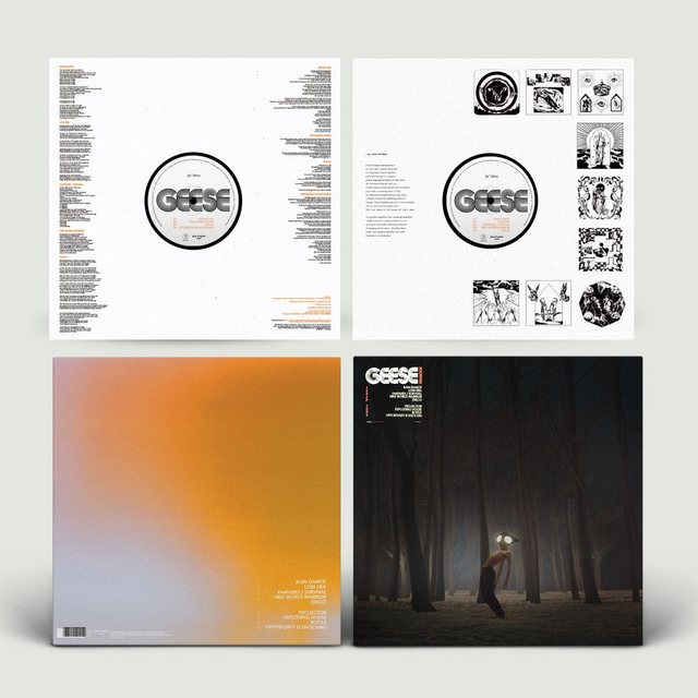 Geese - Projector LP