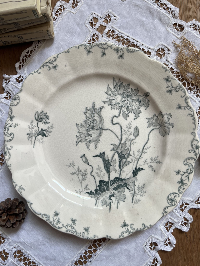 PAVOTS GRIS-VERT - Suite de 4 assiettes plates modèle Pavots par la manufacture française Choisy le Roi (H. Boulenger) - Terre de Fer